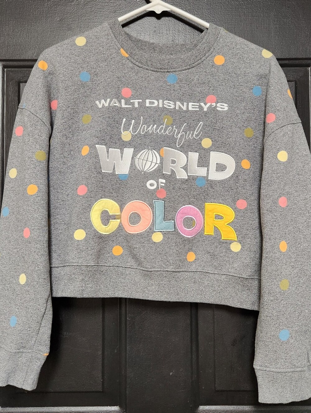 Disney 100 Wonderful World of Color Gray Polka Dot Cropped Sweatshirt Women's M